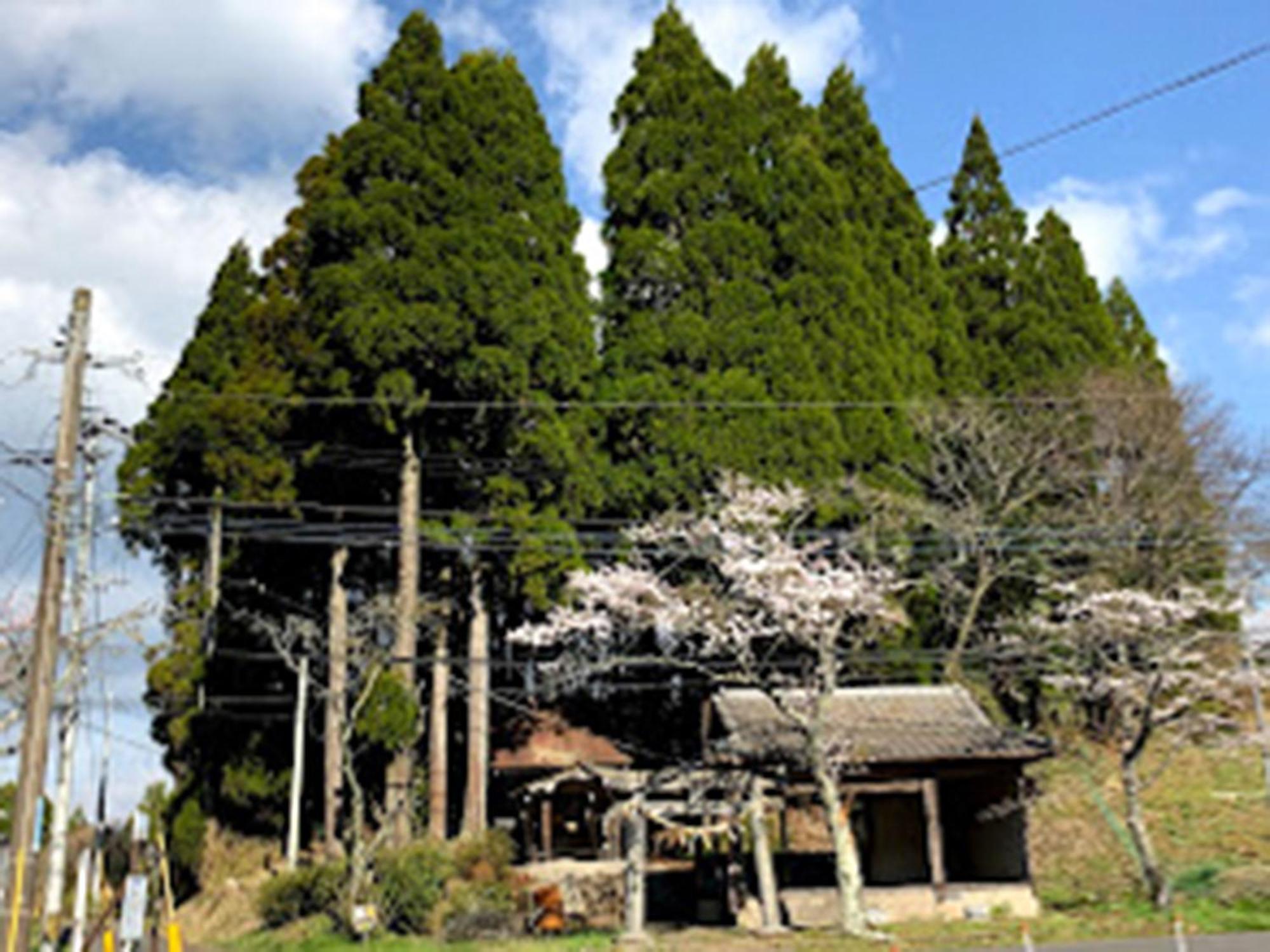 Guesthouse Kurihai Ōita Exterior foto